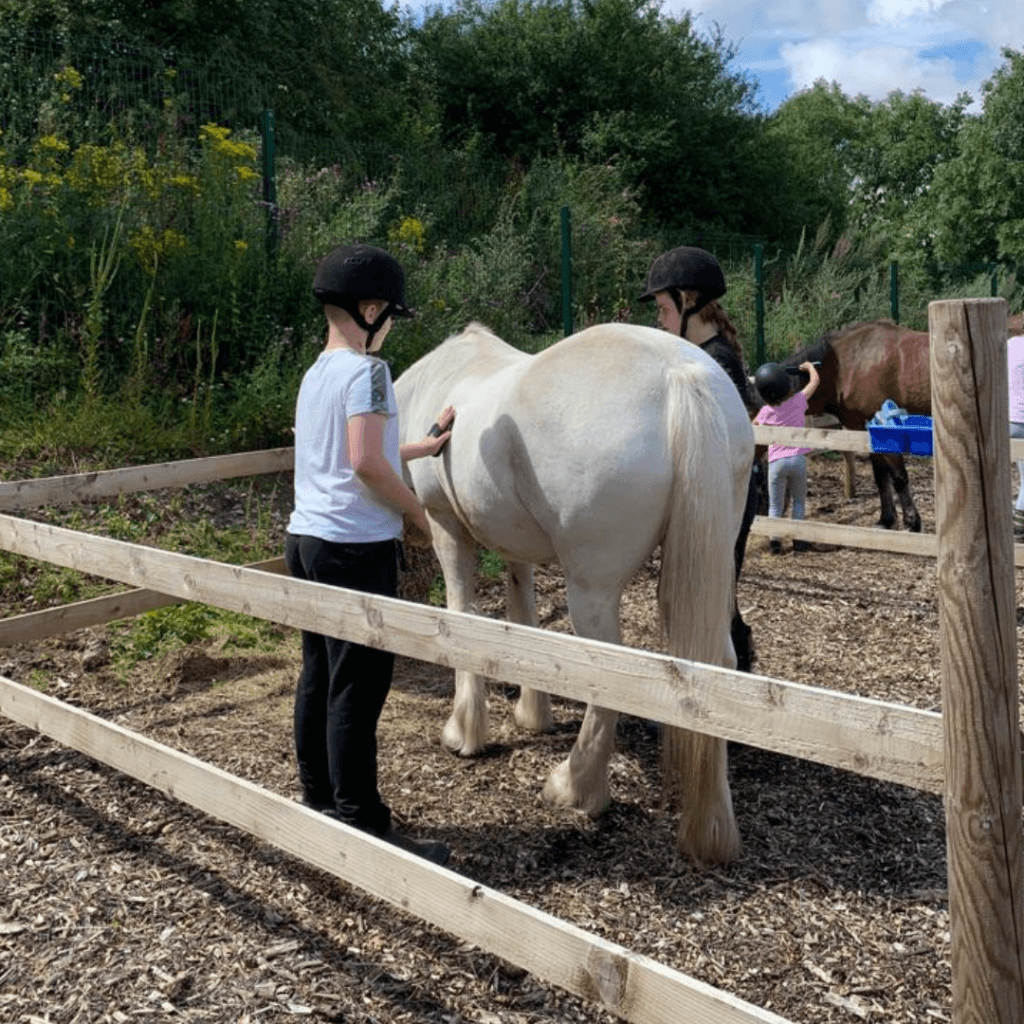 Warrens Hall Riding School Winter HAF Programme